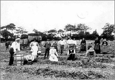 Farm workers