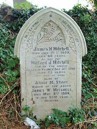 Wilfred J Mitchell