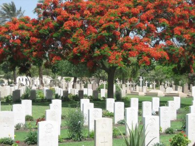 Cairo War Memorial Cemetery